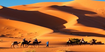 5 days Marrakech Sahara desert trip